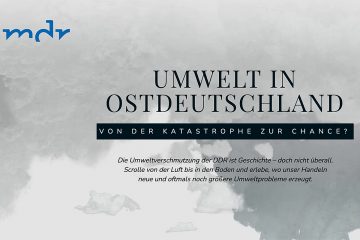 Screenshot "Umwelt in Ostdeutschland"