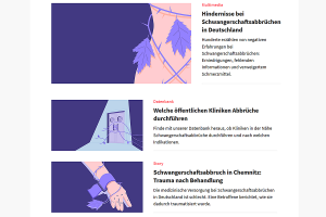 Screenshot "Schwangerschaftsabbruch in Deutschland"